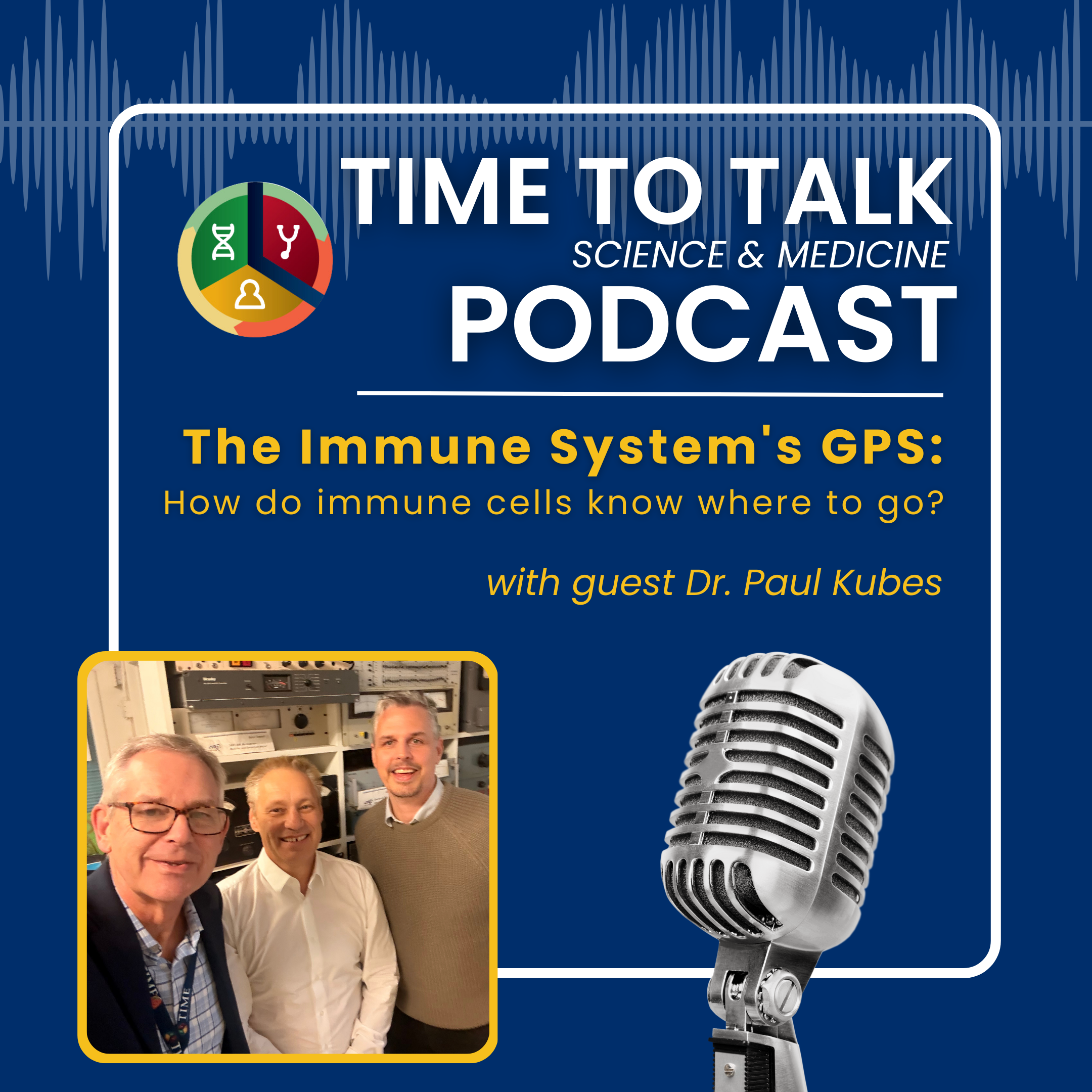 The Immune Systems GPS: How do immune cells know where to go? episode artwork